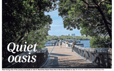 Florida’s Hidden Gems: John D. MacArthur Beach State Park is a quiet oasis in an urban area